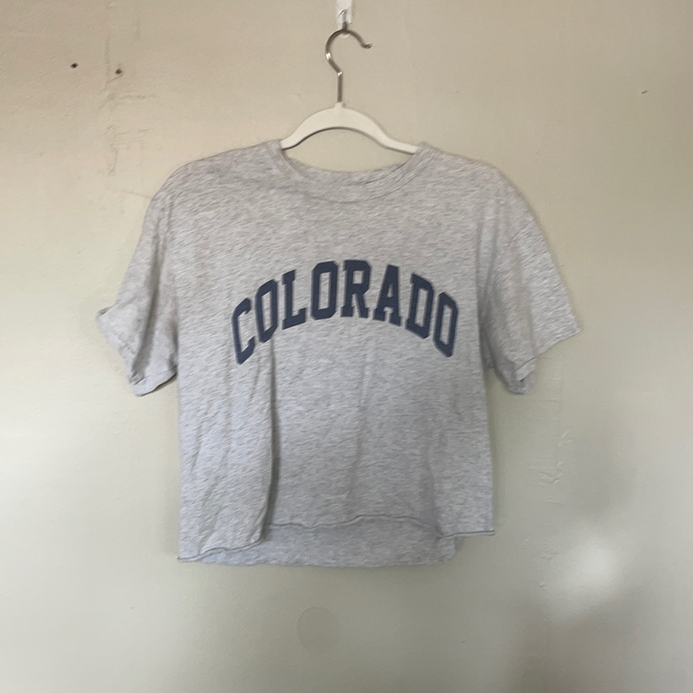 brandy melville cropped tshirt